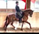 Horse ad