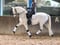 Annonce cheval