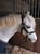 Horse ad