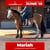 Annuncio cavallo