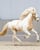 Horse ad