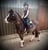 Horse ad