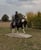 Annuncio cavallo
