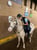 Horse ad