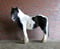 Horse ad