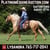 Horse ad