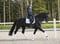 Horse ad