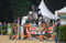 Horse ad