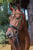 Annuncio cavallo