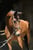 Annonce cheval