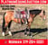 Horse ad