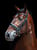 Horse ad