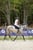 Annuncio cavallo