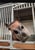 Horse ad