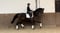 Horse ad