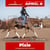 Annuncio cavallo