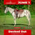 Paardadvertentie