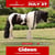 Horse ad