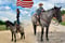 Annuncio cavallo