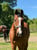 Annuncio cavallo