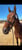 Annuncio cavallo