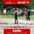 Horse ad