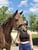 Horse ad