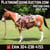 Horse ad