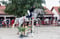 Annuncio cavallo