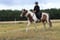 Horse ad