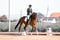Horse ad