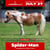 Horse ad