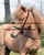 Annuncio cavallo