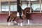 Horse ad
