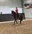 Horse ad