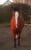 Horse ad
