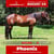 Paardadvertentie