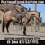 Horse ad