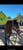 Horse ad