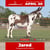 Horse ad
