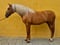 Horse ad