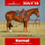 Annuncio cavallo