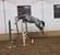 Horse ad