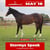Horse ad