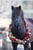 Horse ad