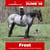 Annuncio cavallo