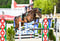Horse ad