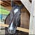 Horse ad