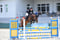 Horse ad