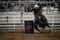 Horse ad
